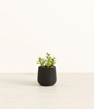 Load image into Gallery viewer, Black*****Profile
