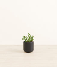 Load image into Gallery viewer, Stone Black*****Profile
