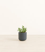 Load image into Gallery viewer, Iron Gray*****Profile
