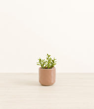 Load image into Gallery viewer, Hammered Peach Pink*****Profile
