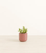 Load image into Gallery viewer, Hammered Rose Pink*****Profile
