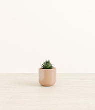 Load image into Gallery viewer, Glossy Pink*****Profile
