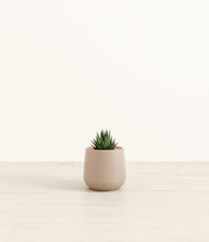 Load image into Gallery viewer, Eternal Gray*****Profile
