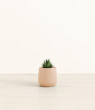 Load image into Gallery viewer, Gentle Pink*****Profile
