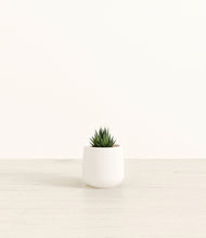 Load image into Gallery viewer, White*****Profile
