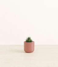 Load image into Gallery viewer, Hammered Rose Pink*****Profile
