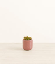 Load image into Gallery viewer, Hammered Rose Pink*****Profile
