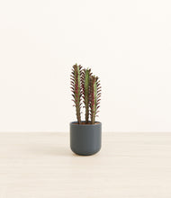 Load image into Gallery viewer, Iron Gray*****Profile
