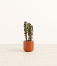 Load image into Gallery viewer, Glossy Red*****Profile
