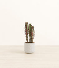 Load image into Gallery viewer, Hammered Ivory*****Profile
