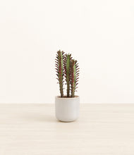 Load image into Gallery viewer, Snowdrift White*****Profile
