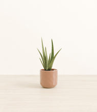 Load image into Gallery viewer, Hammered Peach Pink*****Profile
