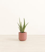 Load image into Gallery viewer, Hammered Rose Pink*****Profile
