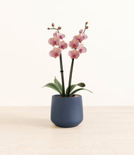 Load image into Gallery viewer, Deep Navy*****Profile
