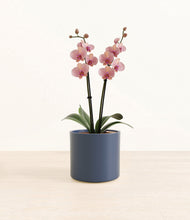 Load image into Gallery viewer, Deep Navy*****Profile
