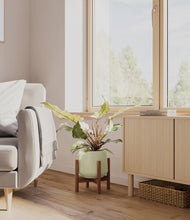 Load image into Gallery viewer, Turquoise stand:bamboo

