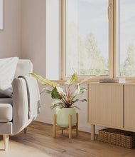 Load image into Gallery viewer, Turquoise stand:bamboo
