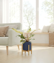 Load image into Gallery viewer, Deep Navy stand:bamboo
