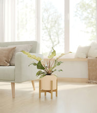Load image into Gallery viewer, Cream stand:bamboo
