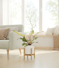 Load image into Gallery viewer, White stand:bamboo
