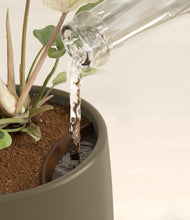 Load image into Gallery viewer, Olive stand:all

