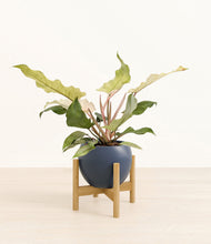 Load image into Gallery viewer, Deep Navy stand:bamboo
