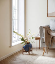 Load image into Gallery viewer, Deep Navy stand:walnut
