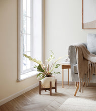 Load image into Gallery viewer, Shiny EggWhite stand:walnut
