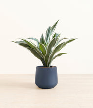 Load image into Gallery viewer, Deep Navy*****Profile
