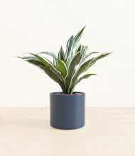 Load image into Gallery viewer, Deep Navy*****Profile
