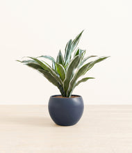 Load image into Gallery viewer, Deep Navy*****Profile
