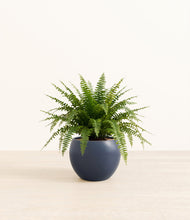 Load image into Gallery viewer, Deep Navy*****Profile
