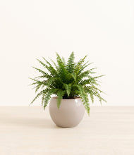Load image into Gallery viewer, Desert Brown*****Profile
