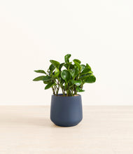 Load image into Gallery viewer, Deep Navy*****Profile
