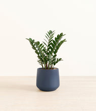 Load image into Gallery viewer, Deep Navy*****Profile
