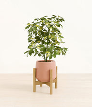Load image into Gallery viewer, Calm Rose stand:bamboo
