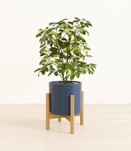 Load image into Gallery viewer, Deep Navy stand:bamboo

