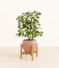 Load image into Gallery viewer, Calm Rose stand:bamboo
