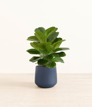Load image into Gallery viewer, Deep Navy*****Profile
