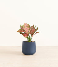 Load image into Gallery viewer, Deep Navy*****Profile
