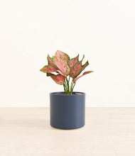 Load image into Gallery viewer, Deep Navy*****Profile

