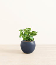 Load image into Gallery viewer, Deep Navy*****Profile
