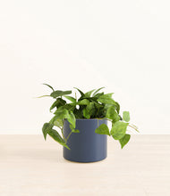 Load image into Gallery viewer, Deep Navy*****Profile
