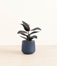 Load image into Gallery viewer, Deep Navy*****Profile
