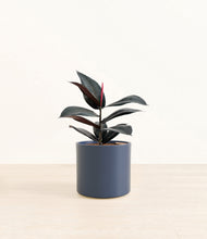 Load image into Gallery viewer, Deep Navy*****Profile
