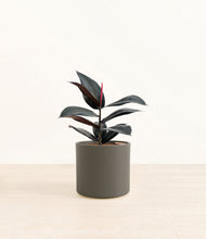 Load image into Gallery viewer, Dark Olive*****Profile
