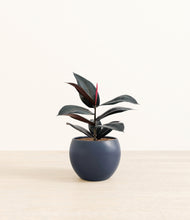 Load image into Gallery viewer, Deep Navy*****Profile
