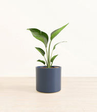 Load image into Gallery viewer, Deep Navy*****Profile
