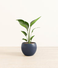 Load image into Gallery viewer, Deep Navy*****Profile
