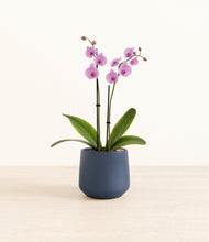 Load image into Gallery viewer, Deep Navy*****Profile
